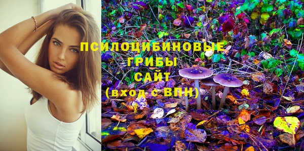 a pvp Майский